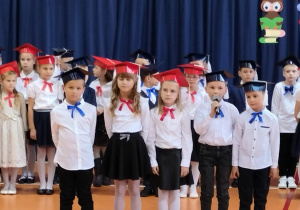 Uczniowie podczas uroczystości ślubowania