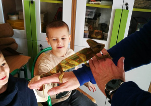Uczniowie oglądają egzotyczne zwierzęta