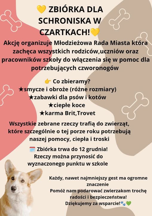 Zbi&oacute;rka na schronisko