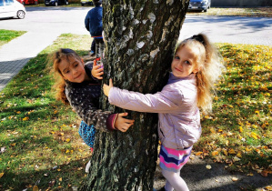 Uczniowie klasy pierwszej obejmują drzewo