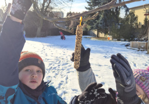 Uczniowie wieszają na gałęzi kolbę z ziarnam