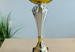 Puchar za zdobycie 1 miejsca