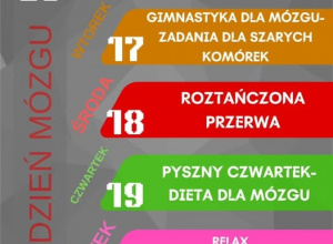 Tydzień pracy z mózgiem